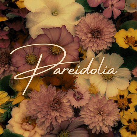 Pareidolia